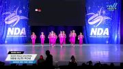 South Texas Strutters - Mini Elite Pom [2025 Mini - Pom - Small Day 2] 2025 NDA All-Star National Championship