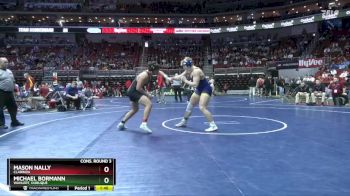 2A-285 lbs Cons. Round 3 - Mason Nally, Clarinda vs Michael Bormann, Wahlert, Dubuque
