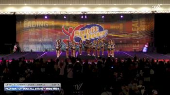 Florida Top Dog All Stars - Miss Mist [2025 L4 Junior - Flex - Small Day 2] 2025 Spirit Cheer Dance Grand Nationals & Cheer Nationals