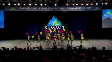 Team Himawari - Himawari Fairies [2018 Large Youth Pom Semis] The Dance Summit