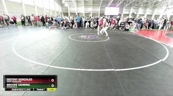 155 lbs Quarterfinal - Brooke Gehring, Springville vs Destiny Gonzales, West Wendover