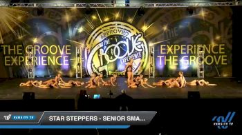 Star Steppers - Senior Small Contemporary/ Lyrical [2019 Senior - Contemporary/Lyrical - Small Day 1] 2019 Encore Championships Houston D1 D2