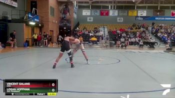 174 lbs Quarterfinal - Logan Hoffman, UNC Pembroke vs Vincent Galang, King