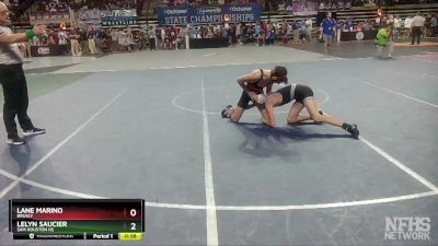 D 2 113 lbs Cons. Round 4 - Lelyn Saucier, Sam Houston Hs vs Lane Marino, Brusly