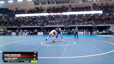 189 lbs Quarterfinal - Kaden Herrmann, Mt. Edgecumbe High School vs Rayden Cross, Nome High School