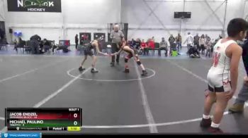 92 lbs Finals (2 Team) - Michael Paulino, Triumph vs Jacob Endzel, Warhawks Black