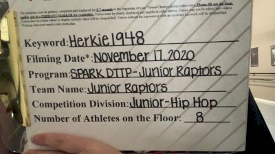 Spark Dance [Junior Hip Hop] 2020 NDA November Virtual Championship