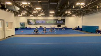 Platinum Athletics - Action PAC [L2 Youth - Small] 2021 The Regional Summit Virtual Championships