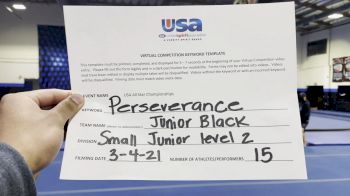 The California All Stars - Jr Black [L2 Junior] 2021 USA All Star Virtual Championships