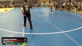93 lbs Quarterfinals (8 Team) - Cameron Anderson, Wabasso vs Benjamin Mack, Sartell