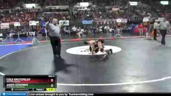 Semifinal - Aiden Downing, Flathead (Kalispell) vs Cole Krutzfeldt, Billings Senior