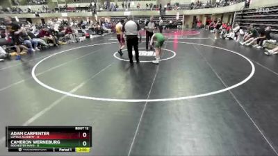 133 lbs Finals (8 Team) - Adam Carpenter, Loyola Academy vs Cameron Werneburg, Rochester Mayo