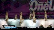 Dance United - Shine Bright - MSCL [2025 Mini - Contemporary/Lyrical Day 3] 2025 One Up Grand Nationals