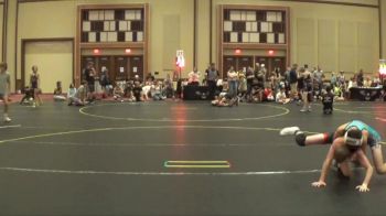 91 lbs Finals (8 Team) - Cole Desiano, SVRWC Silver vs Cameron Melhorn, Ride Out WC