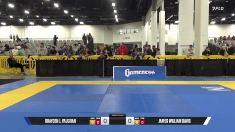James William Davis vs Brayden J. Vaughan 2025 World IBJJF Jiu-Jitsu No-Gi Championship