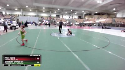 60 lbs Cons. Round 4 - Everett Davidson, Tennessee Valley Wrestling vs Ivan Klug, Fairview Wrestling