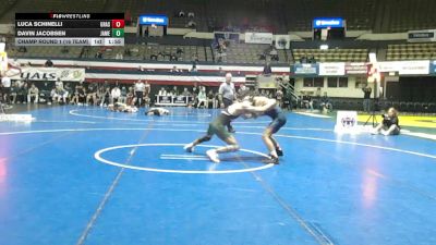 132 lbs Champ Round 1 (16 Team) - Luca Schinelli, Grassfield vs Davin Jacobsen, Jamestown