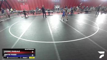 94 lbs Quarterfinal - Dominic Pasquale, IL vs Griffin Magee, ND
