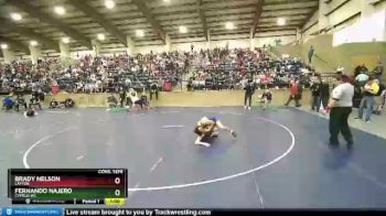 135 lbs Cons. Semi - Brady Nelson, Layton vs Fernando Najero, Cyprus WC