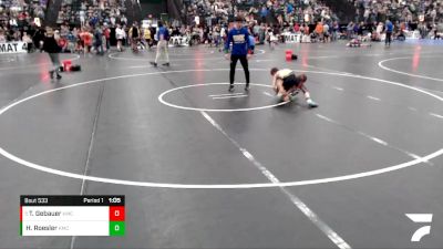 79-86 lbs Quarterfinal - Trey Gebauer, WTW vs Heustyn Roesler, St.Paul Youth Wrestling