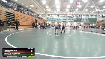 106 lbs Cons. Round 4 - Camden Martin, San Marcos vs Domenic Ruggiero, Del Norte (San Diego)