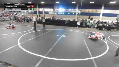 123 lbs Quarterfinal - Logan Hayashi, Dethrone WC vs Dominic Rodriguez, Christopher Columbus HS