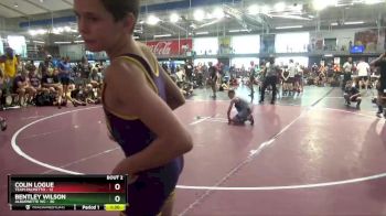 80 lbs Quarterfinals (8 Team) - Curran Meyer, Alburnette WC vs Avery Maines, Team Palmetto