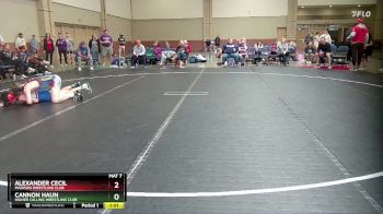 115 lbs Round 2 - Alexander Cecil, Madison Wrestling Club vs Cannon Haun, Higher Calling Wrestling Club