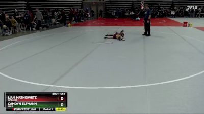 45 lbs Champ. Round 1 - Liam Mathiowetz, Wabasso vs Camdyn Elfmann, ANML