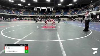 95 lbs Semifinal - LT Diephuis, Canton vs Annika Hull, Naperville Central