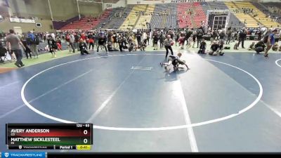 63 lbs Quarterfinal - Matthew Sicklesteel, MI vs Avery Anderson, CO