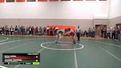 165 lbs Cons. Round 3 - Seth Copen, Norton vs Dominik Whitesel, Madison (Mansfield)