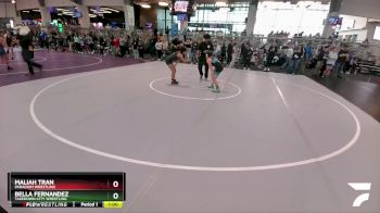 98 lbs Quarterfinal - Maliah Tran, Paradigm Wrestling vs Bella Fernandez, Takedown-City Wrestling