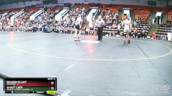 113 lbs Semifinals (8 Team) - Wyatt Lees, Detroit Catholic Central vs Keagen Elliot, Rockford