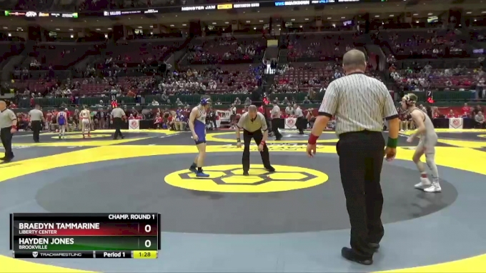 D3-106 Lbs Champ. Round 1 - Braedyn Tammarine, Liberty Center Vs Hayden ...