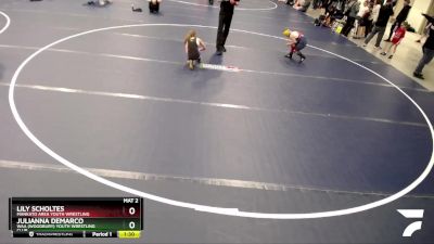 Cons. Round 3 - Julianna DeMarco, WAA (Woodbury) Youth Wrestling Club vs Lily Scholtes, Mankato Area Youth Wrestling