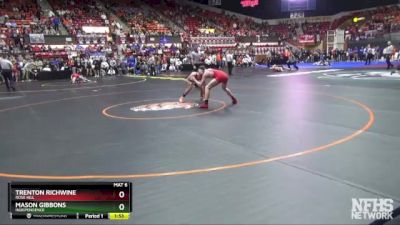 4A 113 lbs Quarterfinal - Trenton Richwine, Rose Hill vs Mason Gibbons, Independence