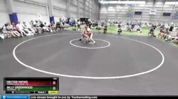132 lbs Placement Matches (8 Team) - Hector Mateo, Pennsylvania Blue vs Billy Greenwood, Colorado