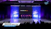 Dance Dynamics - Junior Elite Small Pom [2025 Junior - Pom - Small Day 1] 2025 NDA All-Star National Championship