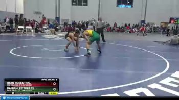 125 lbs Cons. Round 3 - Ryan Rosenthal, The College Of New Jersey vs Damianlee Torres, New Jersey City University