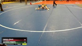 95 lbs Placement (4 Team) - Dominick Mariotti, STMA (St. Michael/Albertville) vs Samuel Strack, Little Falls