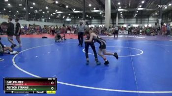 80 lbs Placement (4 Team) - Peyton Straws, BEASTWORKS WRESTLING CLUB vs Cam Palmer, HANOVER HAWKEYE