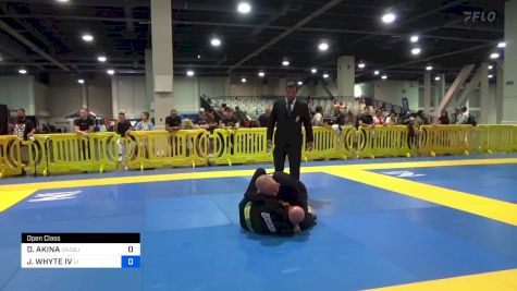 DAVID AKINA vs JAMES WHYTE IV 2024 American National IBJJF Jiu-Jitsu Championship