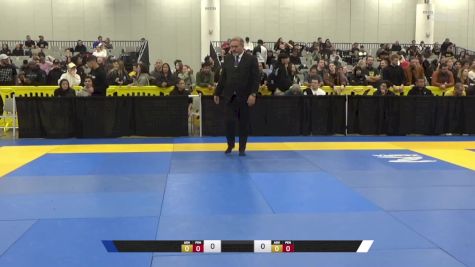 José Julián Espinosa Flores vs Pedro Antonio Serrano 2024 World IBJJF Jiu-Jitsu No-Gi Championship