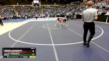 5A - 132 lbs Quarterfinal - Bailey Steinmetz, Newton vs Andrew Bonebrake, Tecumseh-Shawnee Heights