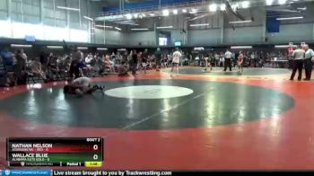 106 lbs Round 1 (6 Team) - Wallace Blue, Alabama Elite Gold vs Nathan Nelson, Assassins WC - Red