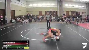 92 lbs Round 4 (6 Team) - Ethan Halstead, Backyard Brawlers vs Luca Amato, Ohio Gold