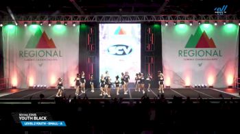 SCV All Stars - Youth Black [2025 L2 Youth - Small - A Day 1] 2025 The West Regional Summit & The Recreational Summit
