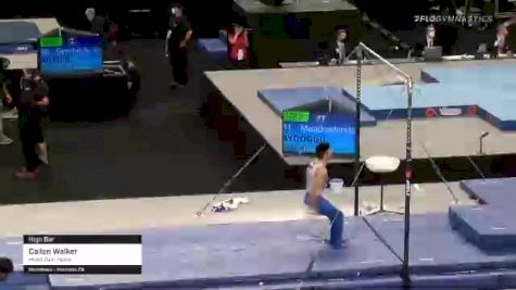 Cailen Walker - High Bar, Head Over Heels - 2021 US Championships