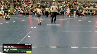 73 lbs Quarterfinal - Braylee Gill, Beatrice Wrestling Club vs Brylee Wiseman, DC Elite